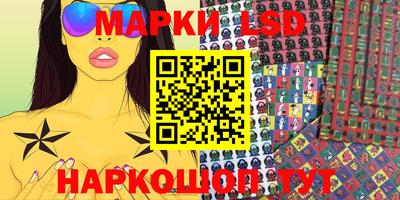 стаф Камышлов