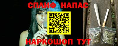 стаф Камышлов