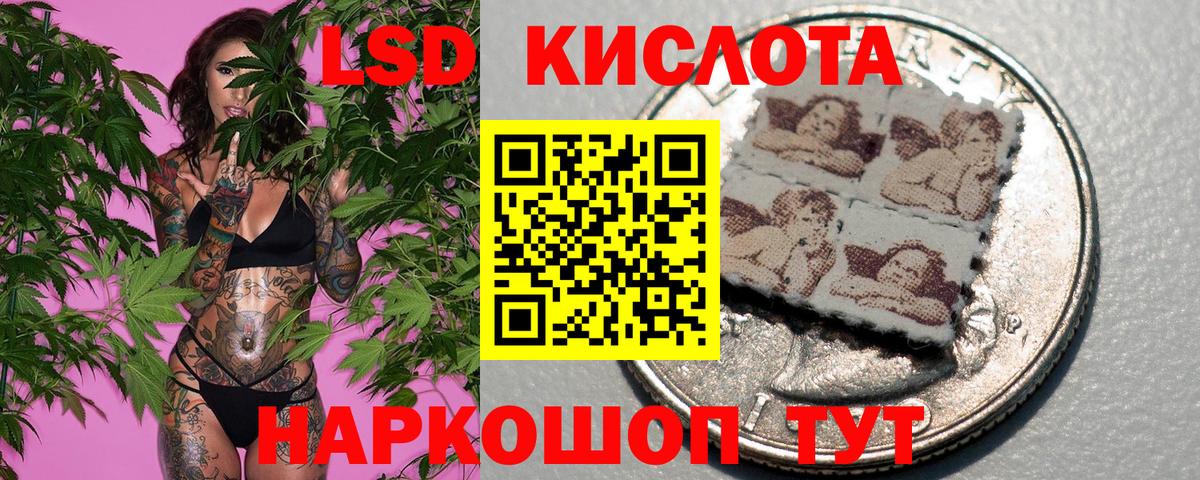 дарнет шоп  Вход с VPN  Крымск  Марки 25I-NBOMe 1500мкг  Марки 25I-NBOMe 1500мкг 