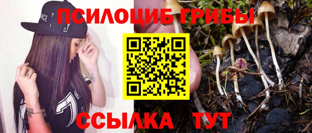 Галлюциногенные грибы ЛСД Крымск