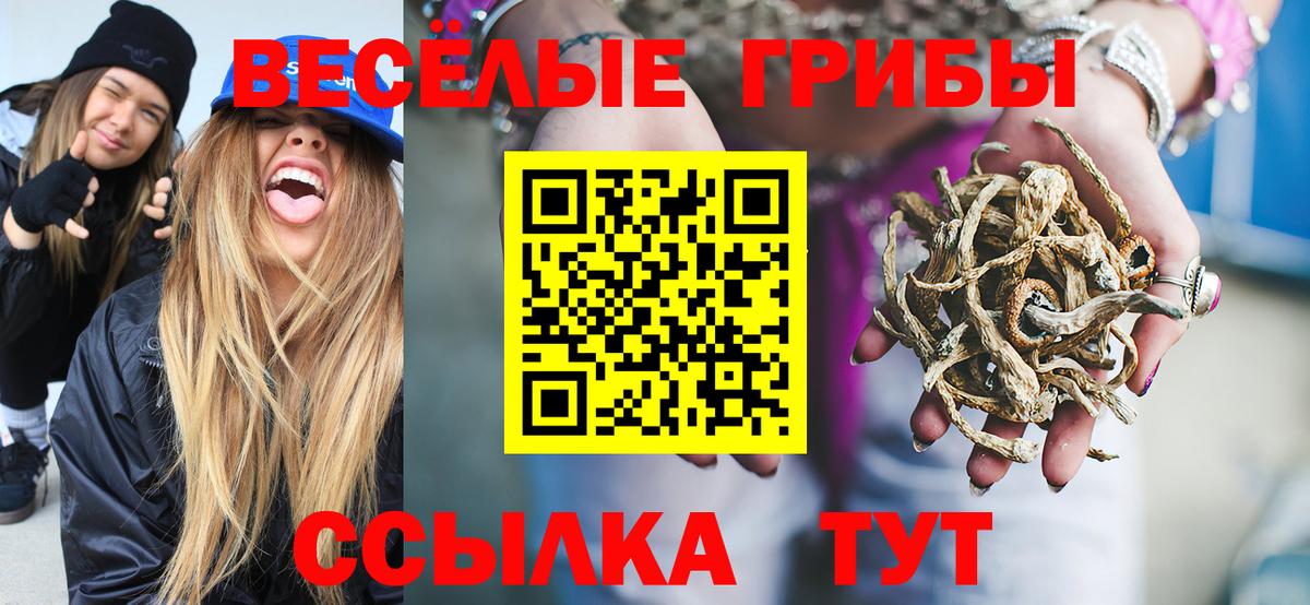 Галлюциногенные грибы GOLDEN TEACHER  Вход с VPN  Крымск 